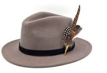 Hat with Feather