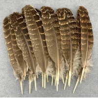 Feathers